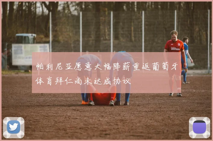 帕利尼亚愿意大幅降薪重返葡萄牙体育拜仁尚未达成协议
